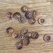 Brun hornlook knap, 4-huls, 11 mm