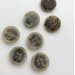 Grbrun knap 4-huls, 17 mm