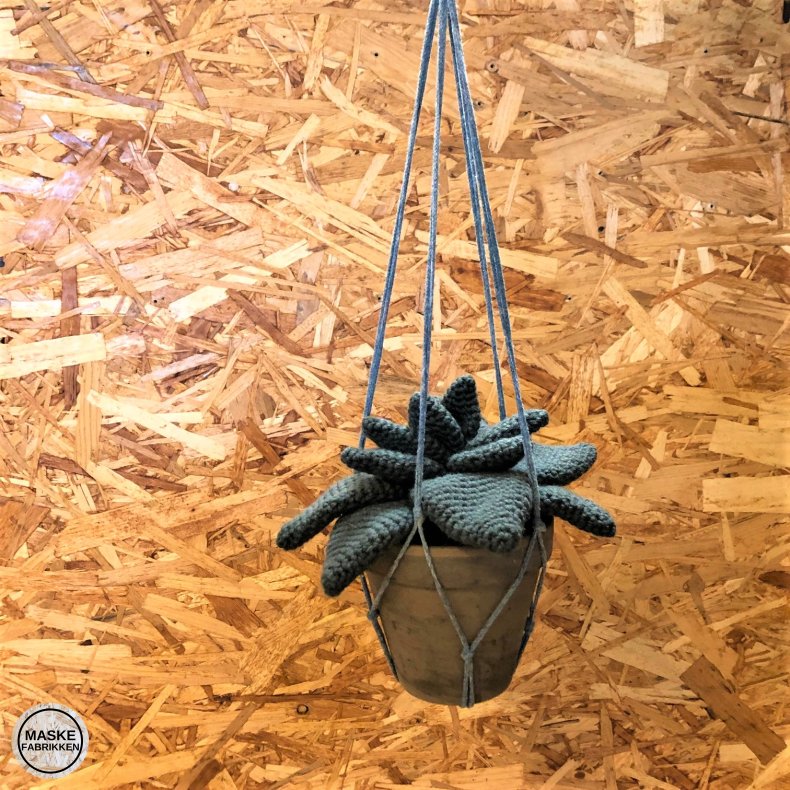 DIY - planteophng
