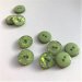 Grn shiny knap 2-huls, 11 mm